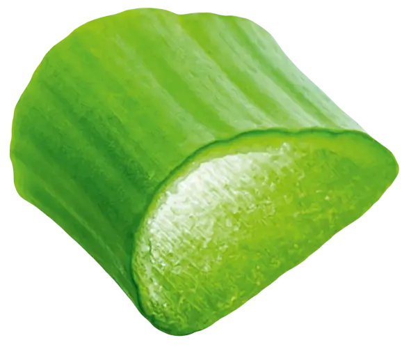 زلابية